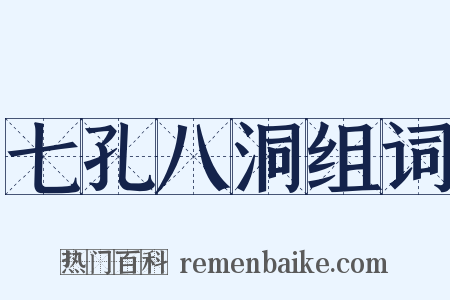 七孔八洞组词是什么意思的图片